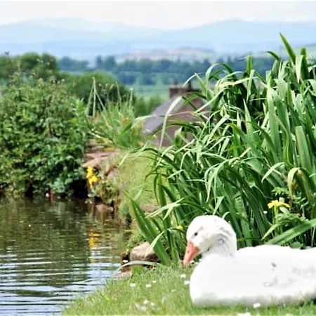 Hébergement de vacances 1 Bed In Penrith Oc-91164 Kirkoswald (Cumbria)