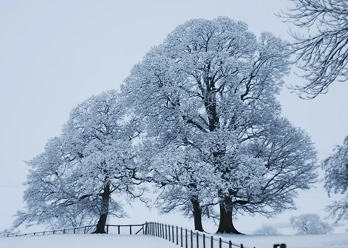 1 Bed In Penrith Oc-91164 * Kirkoswald (Cumbria)