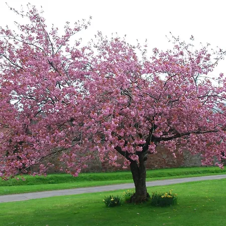 Casa vacanze 1 Bed In Penrith Oc-91164 Kirkoswald (Cumbria)