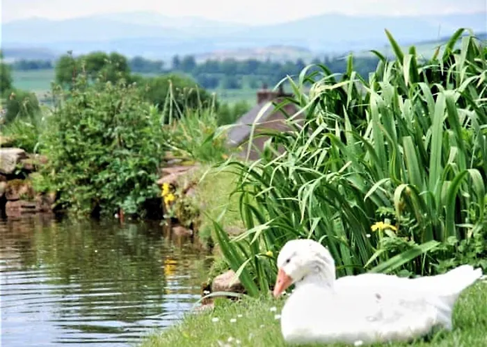 Casa vacanze 1 Bed In Penrith Oc-91164 Kirkoswald (Cumbria)