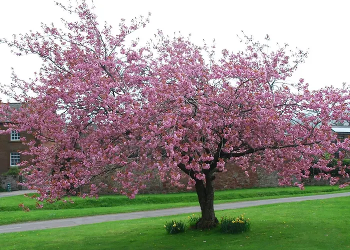 Casa vacanze 1 Bed In Penrith Oc-91164 Kirkoswald (Cumbria)